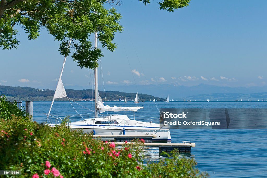 Segelboote auf dem Bodensee